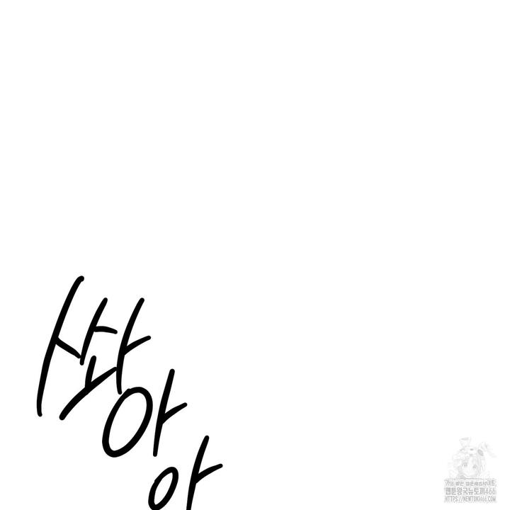 1732051312040i25sseaf8mp.jpg