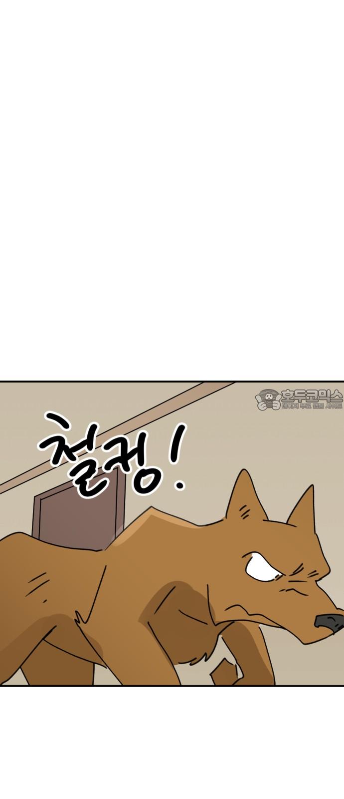 1732209356576ohj4pussnn9.jpg