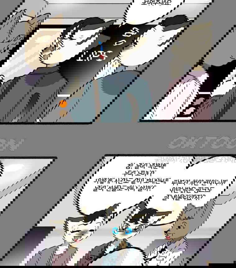 1730661996697yodktw1aat.jpg