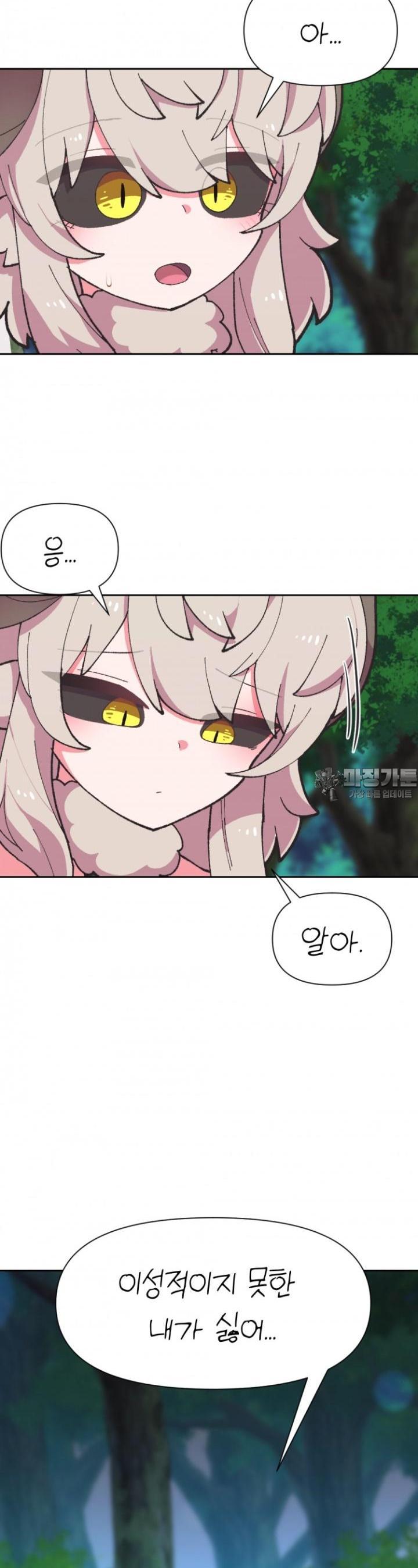 1730754781634rohybae3mef.jpg