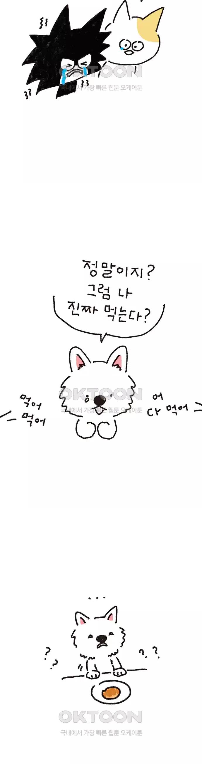 1731012833552fxdpuqioxpk.jpg