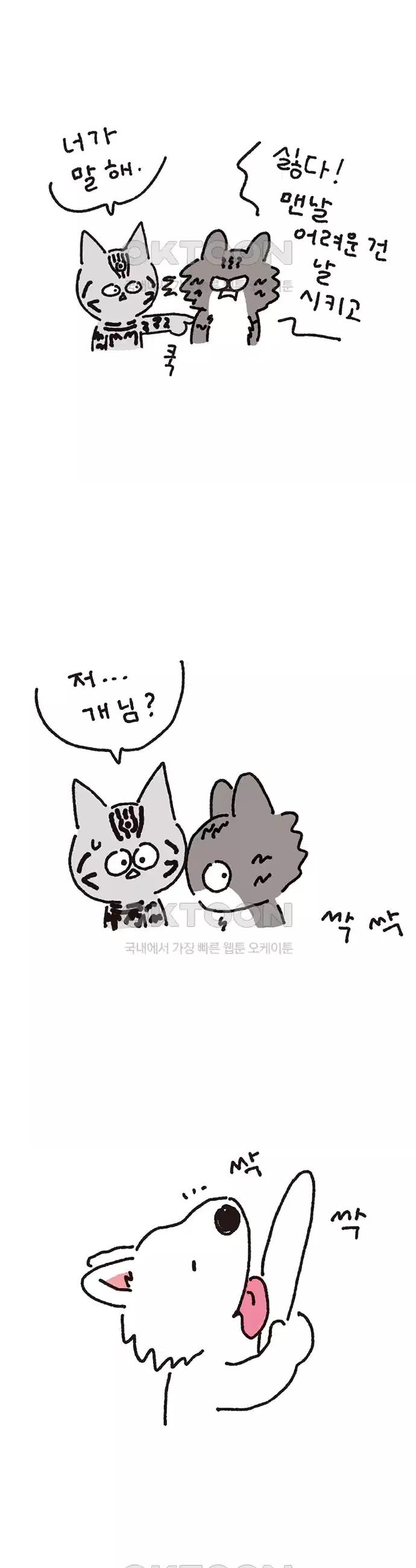 17310128343213ciqnnv2yul.jpg