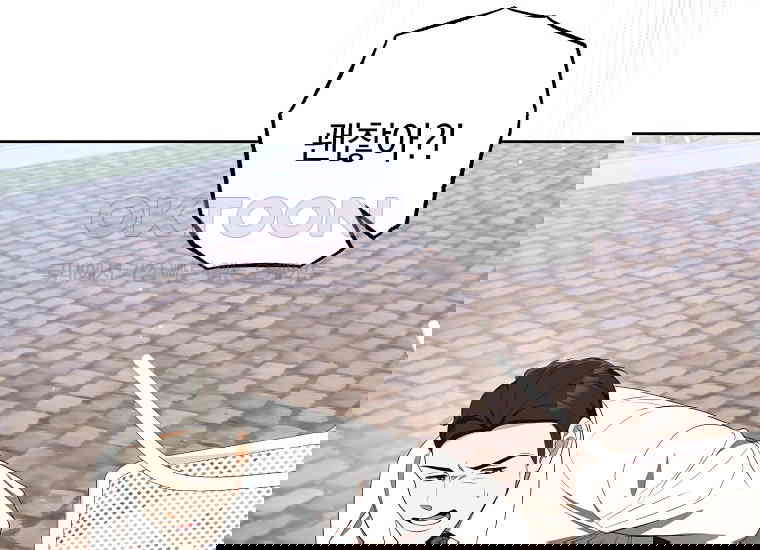 17310982269799vy4wnc51pf.jpg
