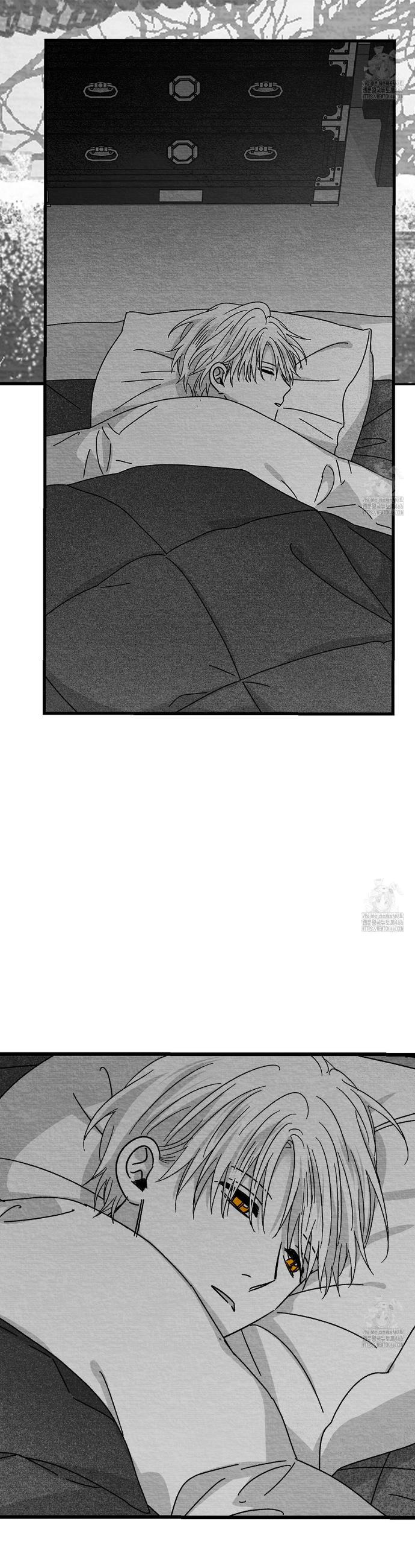 17346480307643r9bp7vi6sr.jpg