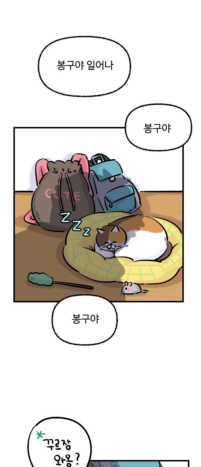 1734647082302ao35nim5gnw.jpg