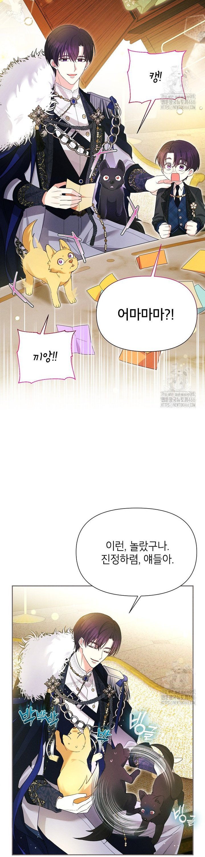1735337302529falo74qaq8t.jpg