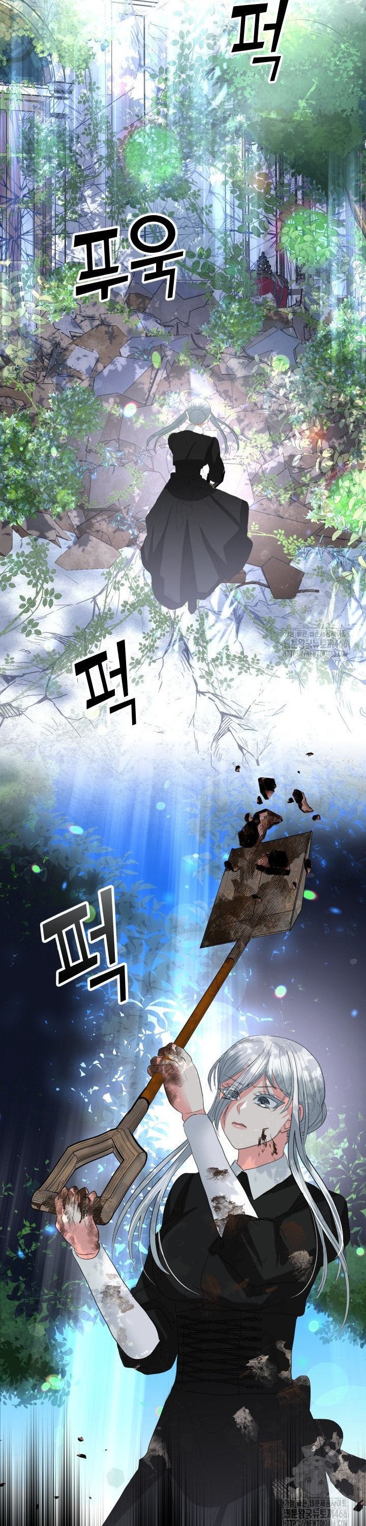 1735423463559mku6djla8rp.jpg