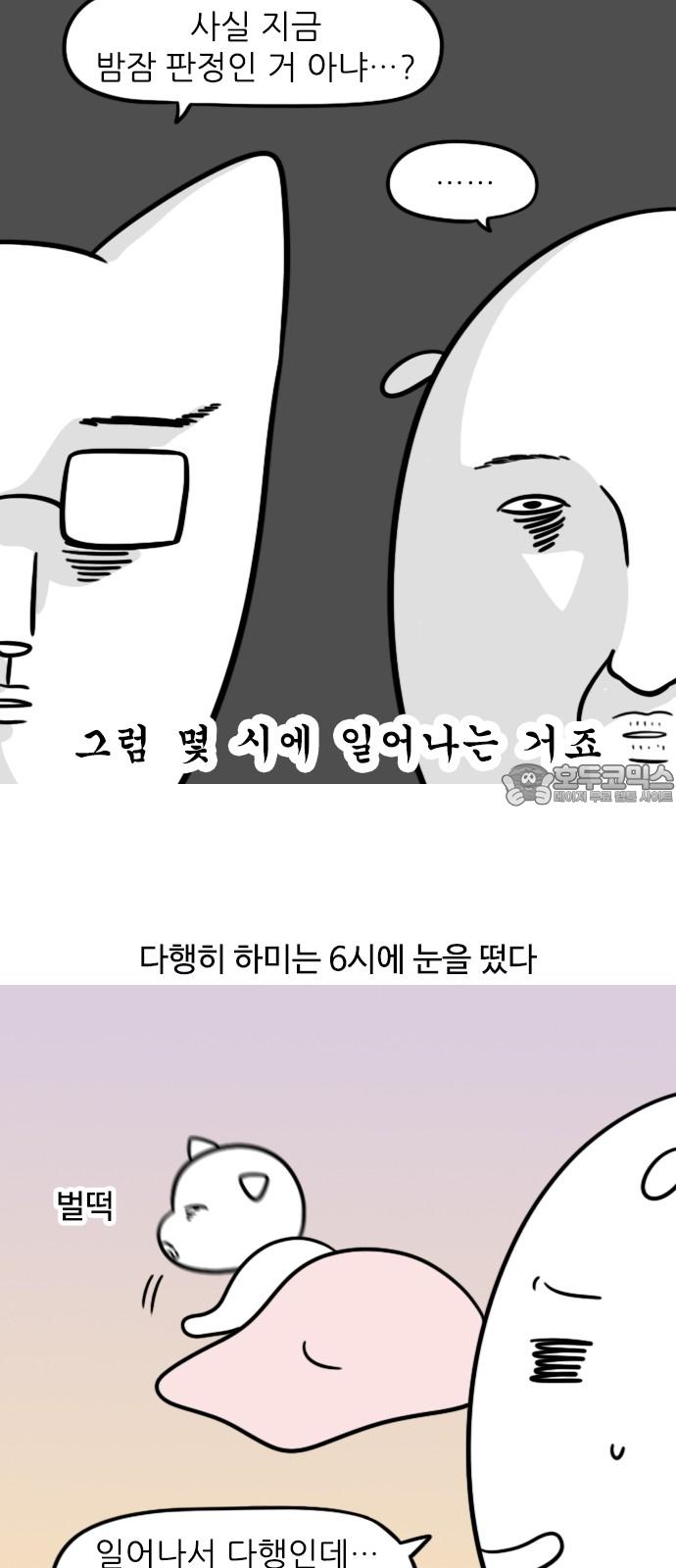 1735434501265jy96gv6rn2.jpg