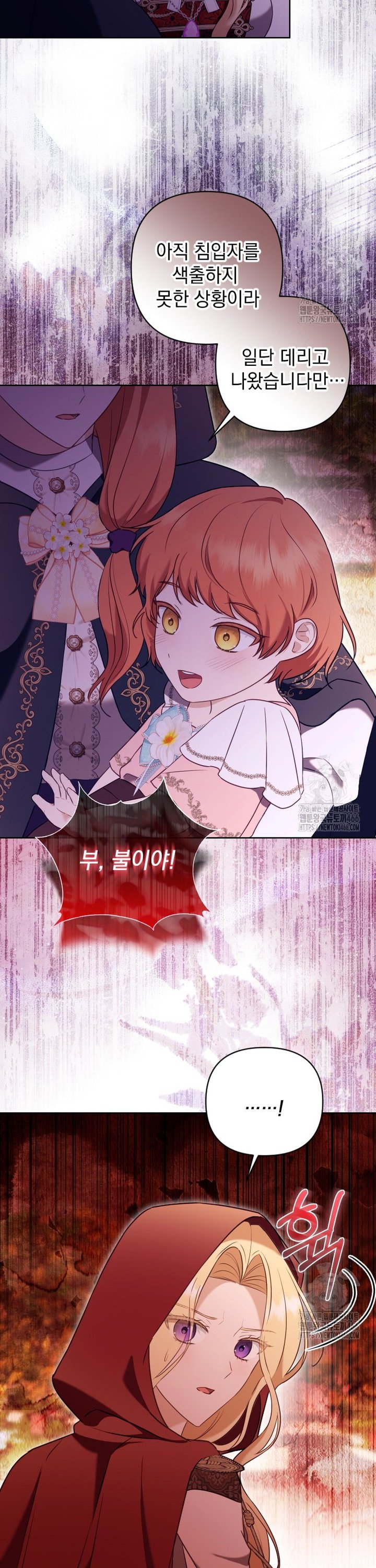 17333599330945zlprrip2oa.jpg