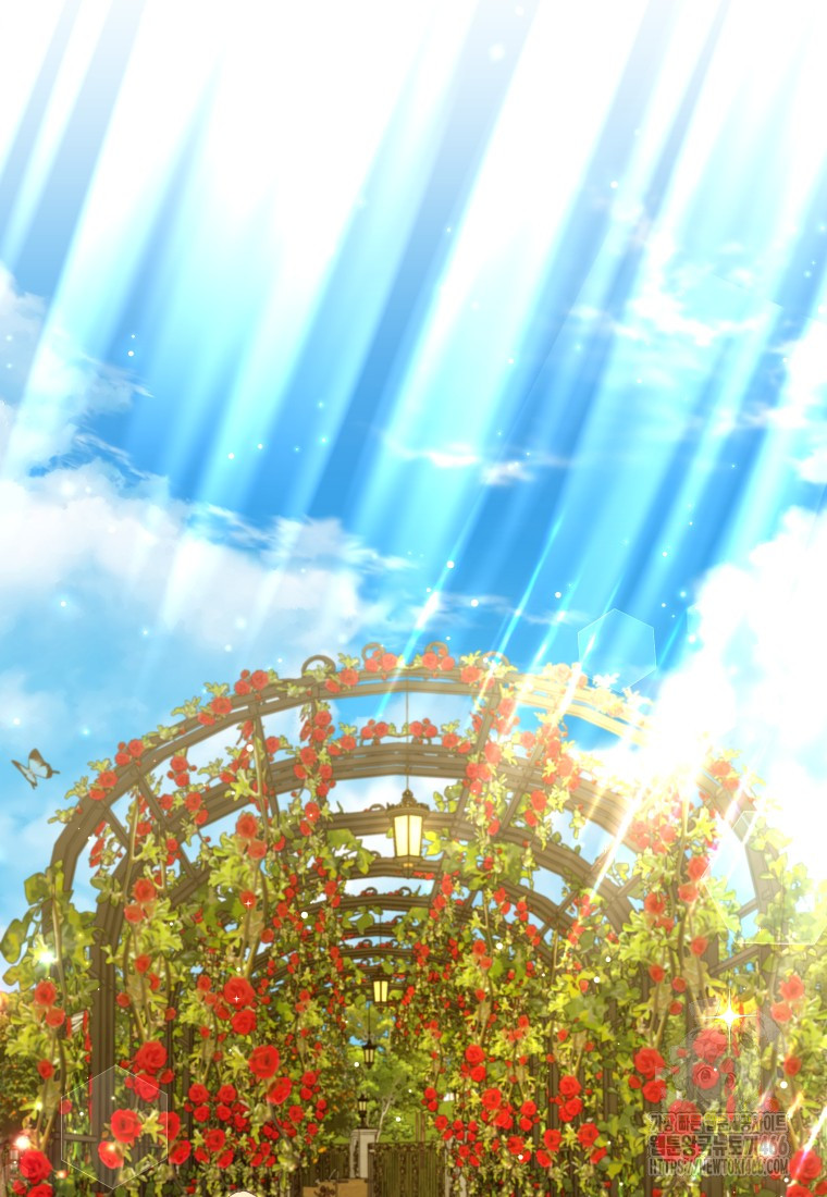 1733619470391wh0sll90ch.jpg