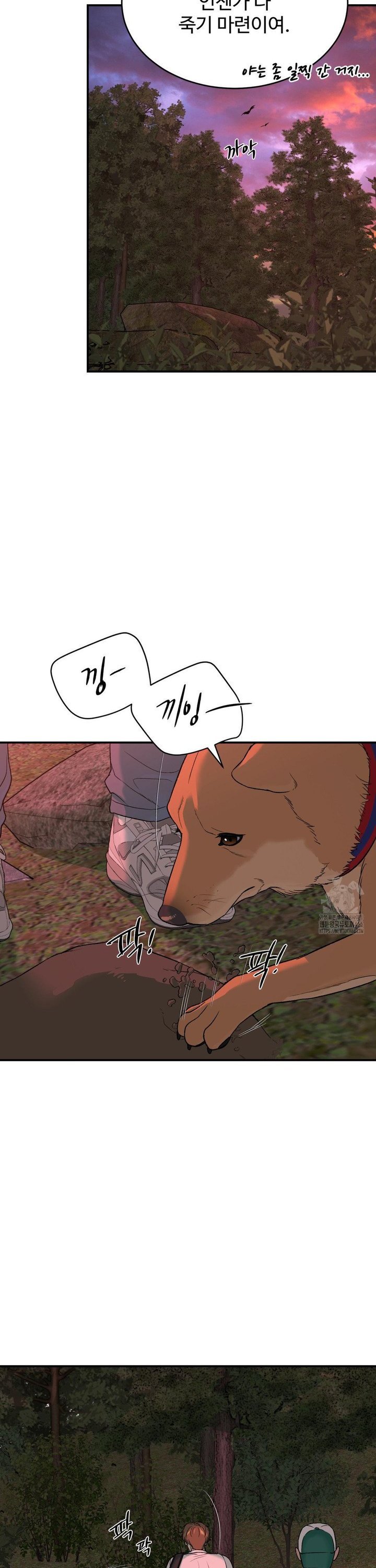 1735864032418qentwt7eq9s.jpg