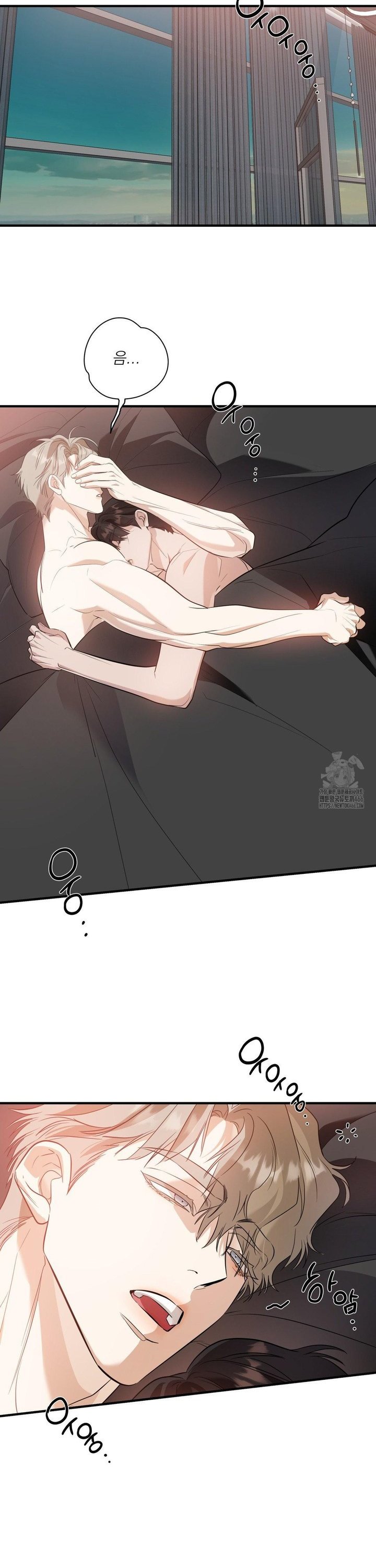 1735951812367jmdoguw5k8c.jpg