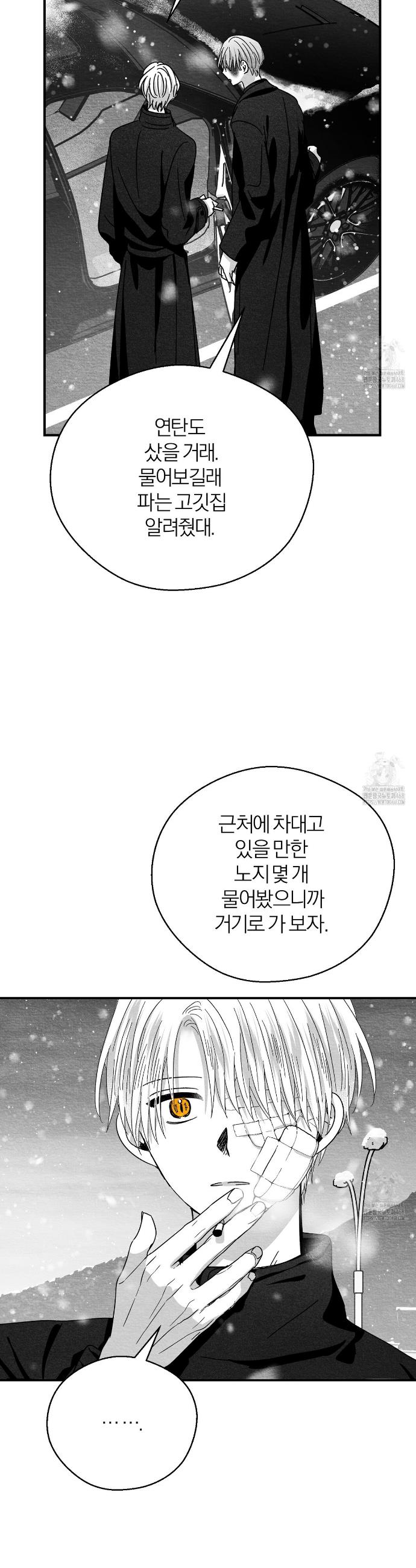 1740091873908shtc4zgj39.jpg