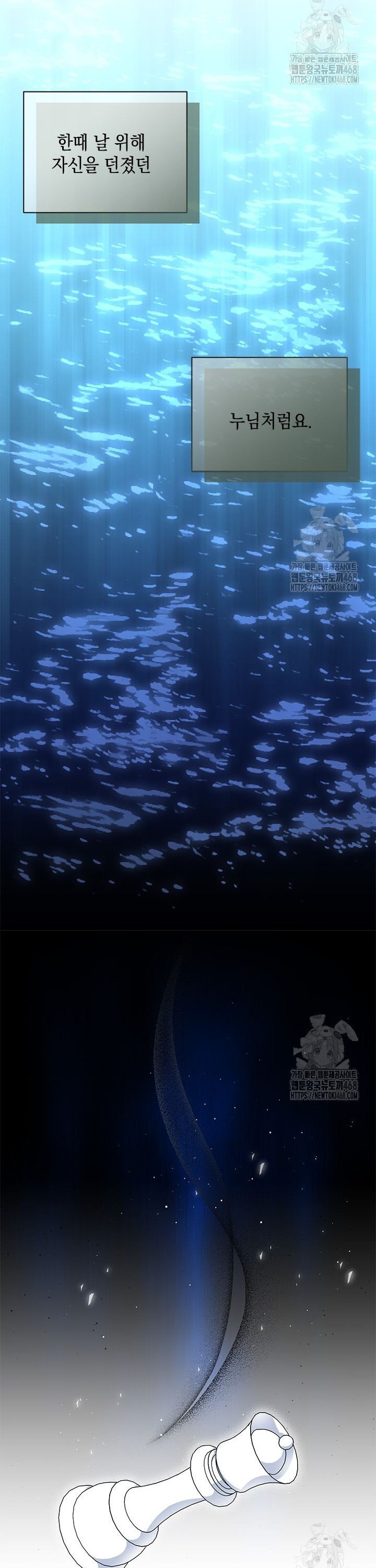 1740264970723lvebs4qimms.jpg