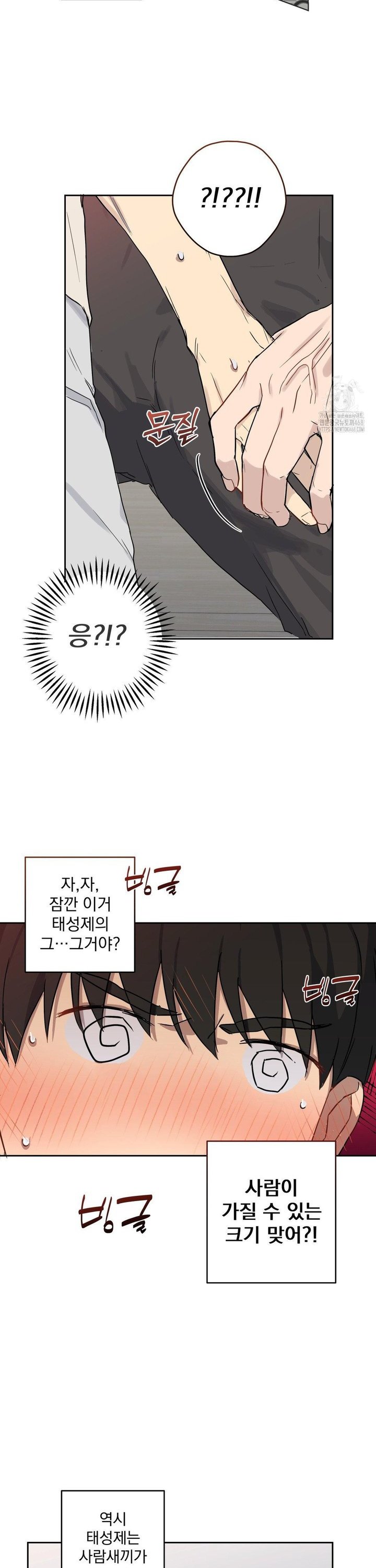 1740352710038qxw1xlrnw.jpg