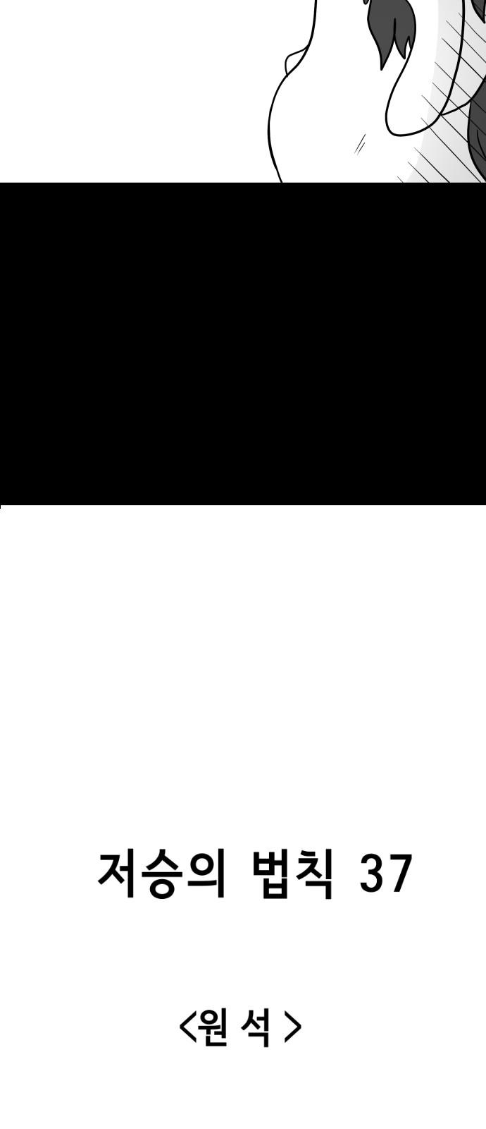 1740412235322o0w2jgz465.jpg