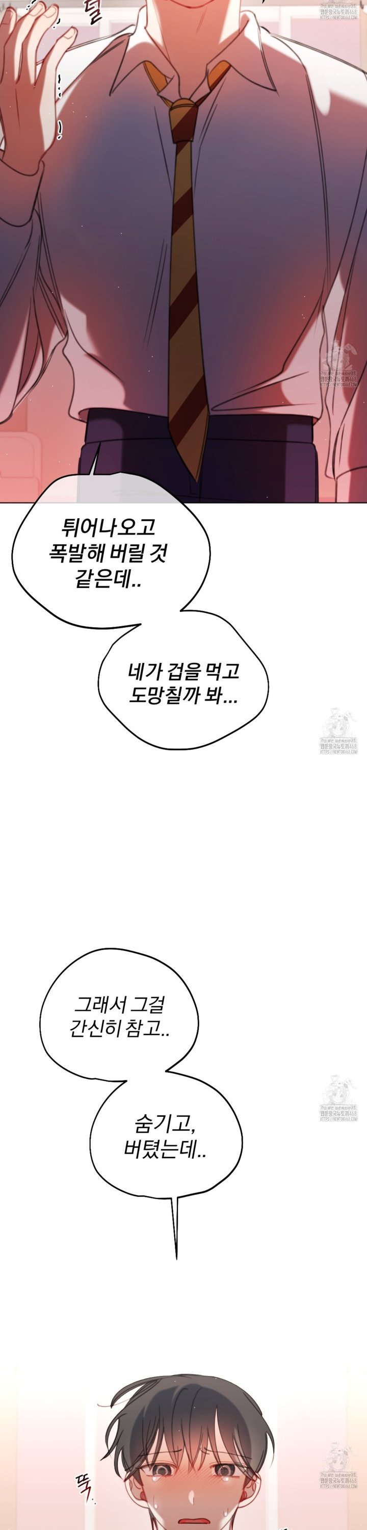 1740411125097815pv5m9tf.jpg