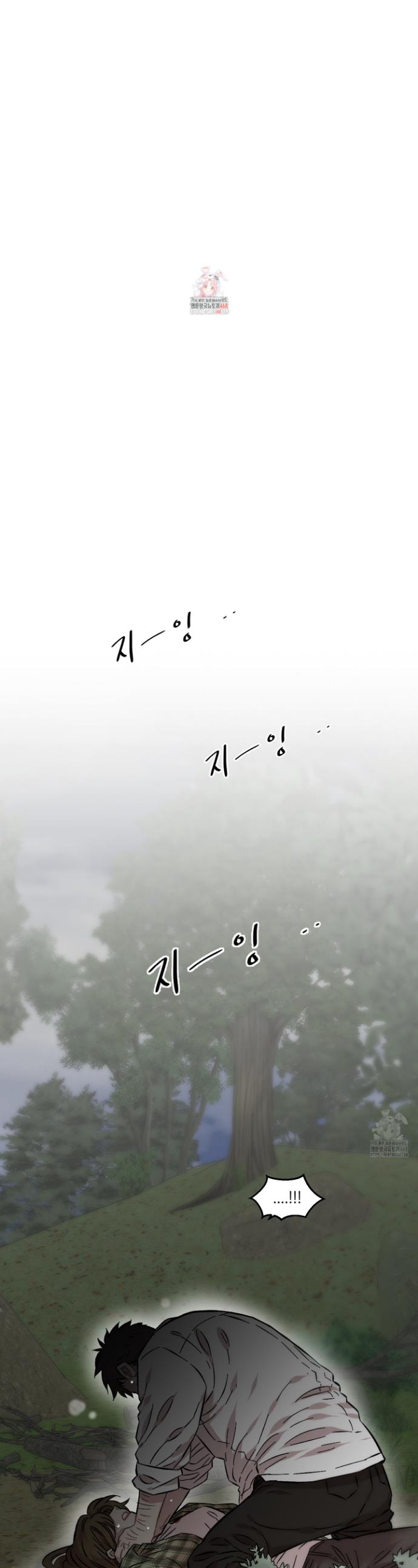 1740715294775ib3w7452c9s.jpg