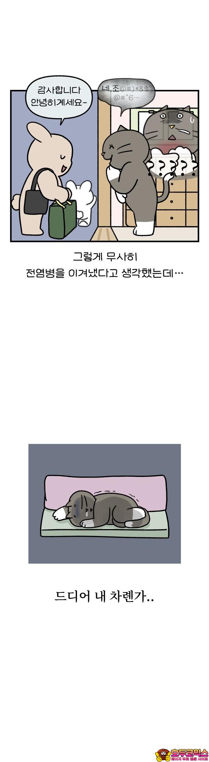 1741729315634mprrhdpyun.jpg
