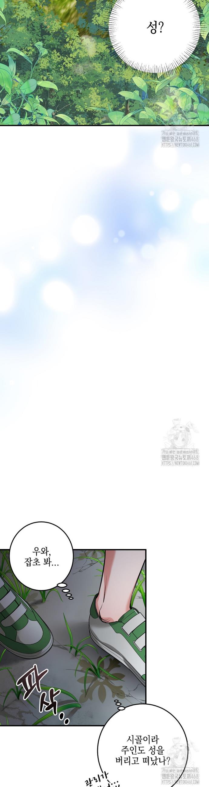 1741729809816jvu0j46gk6.jpg