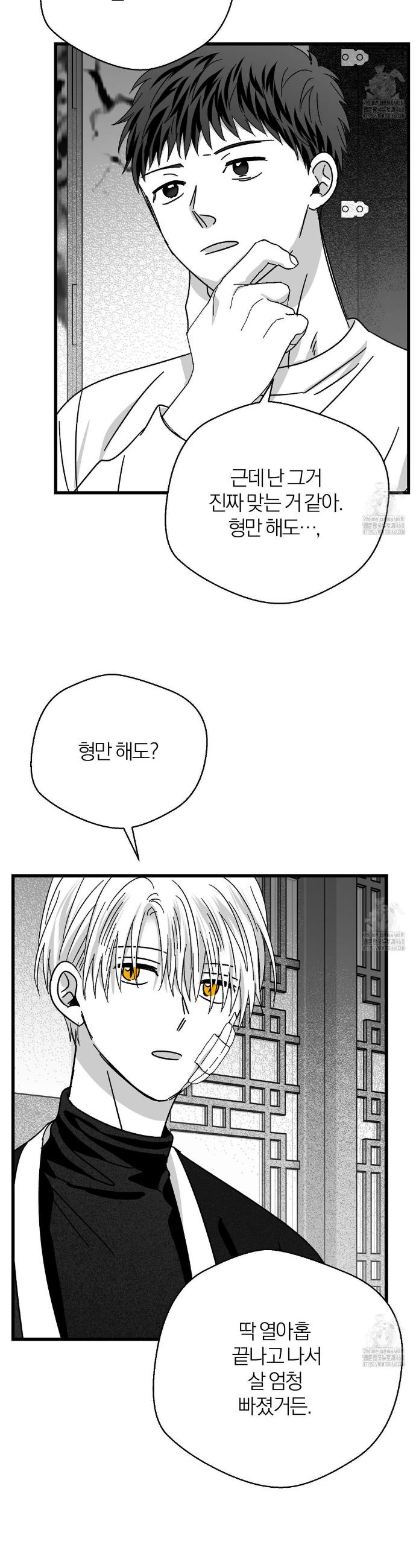 1741900954367ymz90ijm0u.jpg