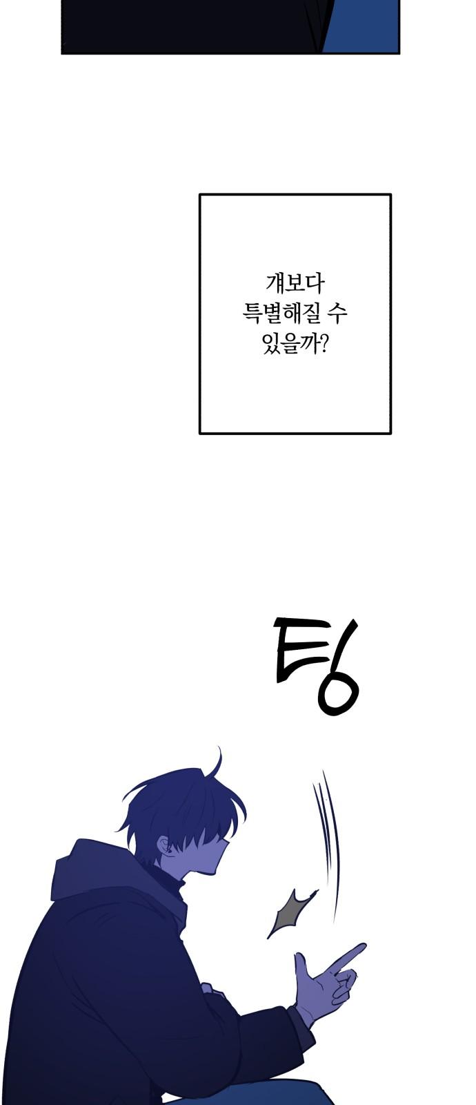 1742424015486xuwkder41op.jpg