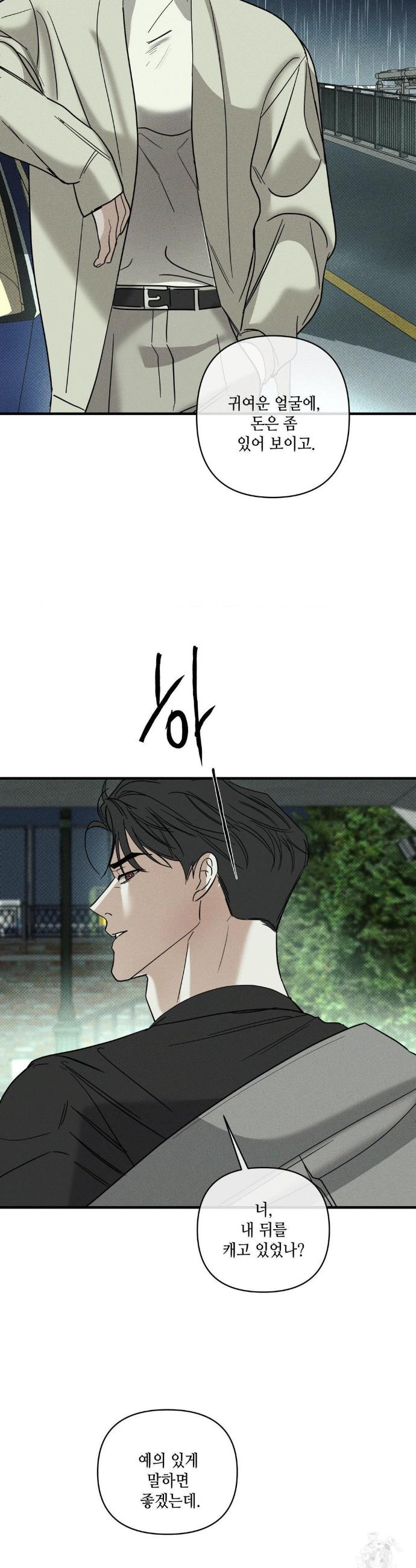 1743042872028yf8bc6kkase.jpg