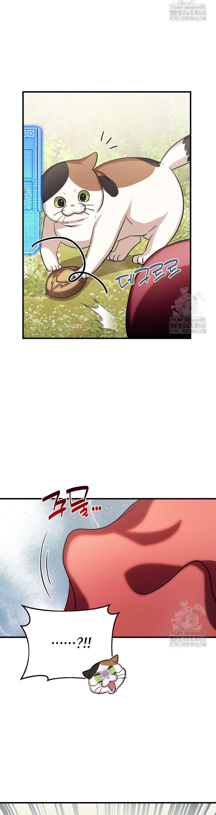 1743209340679wpsxblok4ce.jpg