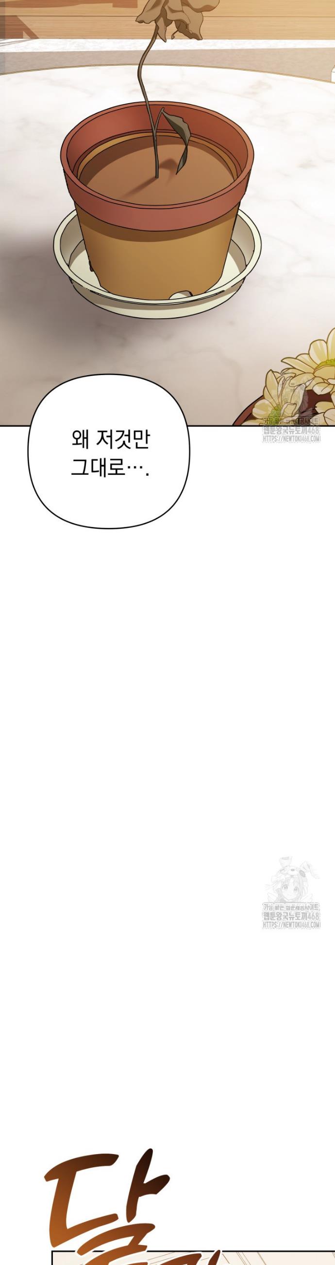 1740986984631se3pnmxc6ul.jpg