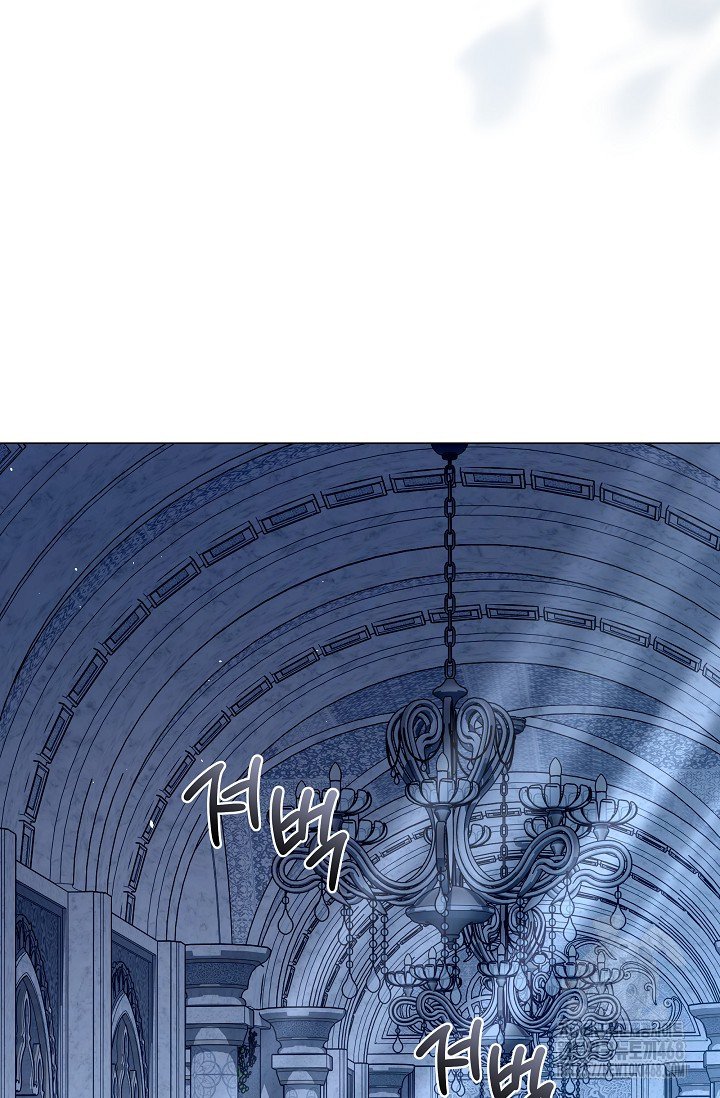 1740931566512x68q92vopyr.jpg