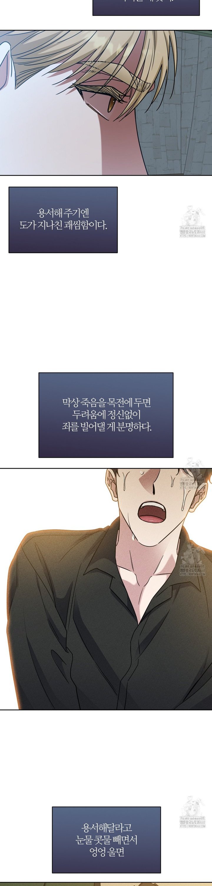 1743284338087hei23rkxw49.jpg