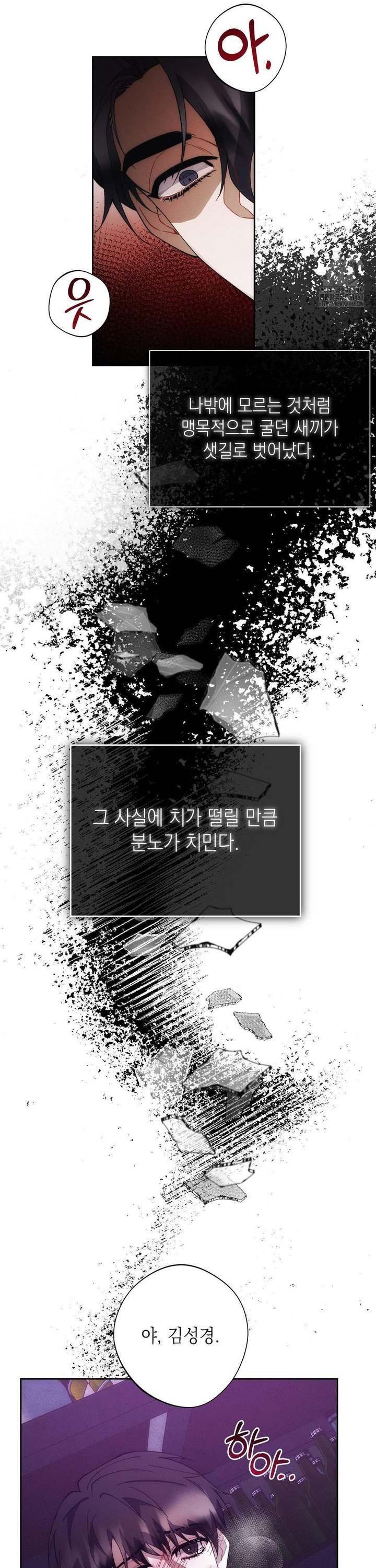 1741047435962ww4cf42tgc.jpg