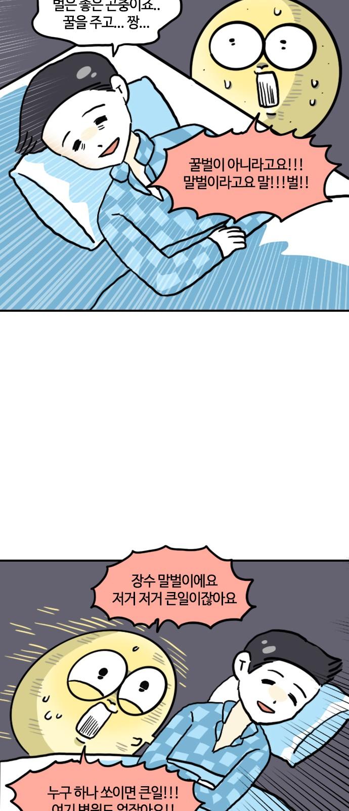 17410475119440cx7avzfzaf.jpg