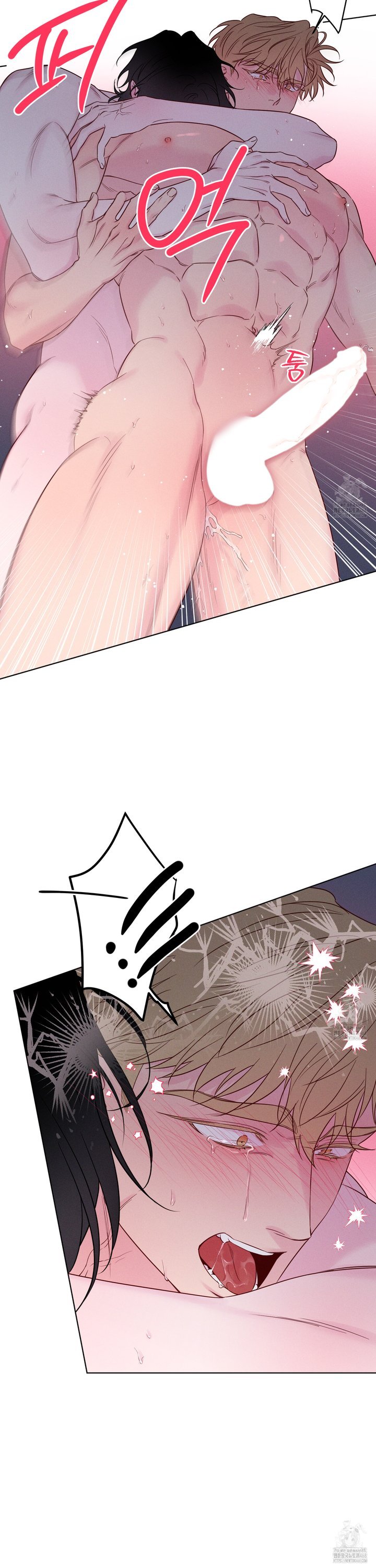 1744410177905sfcm5povftr.jpg