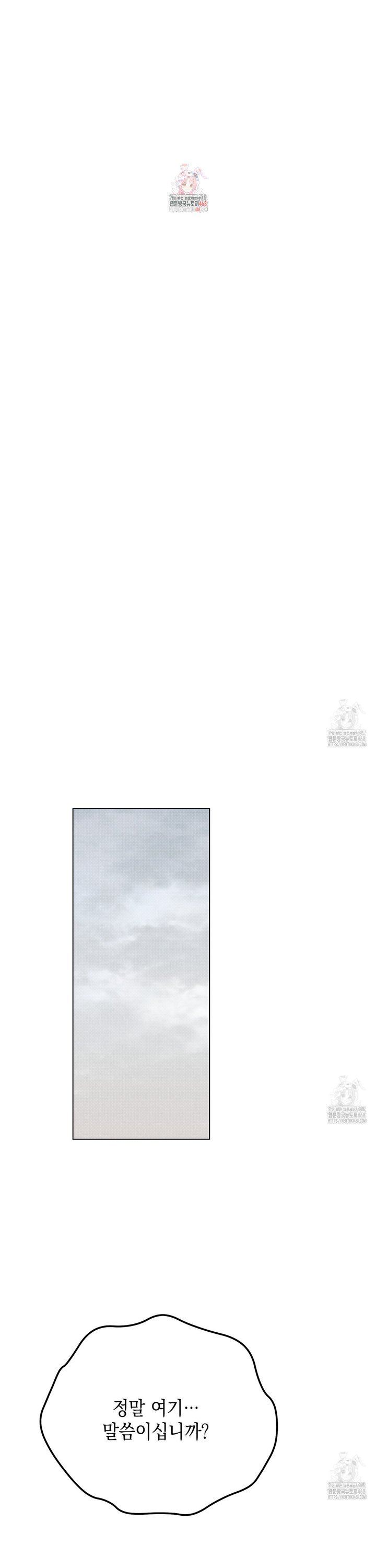 1745196520606kajycpior.jpg