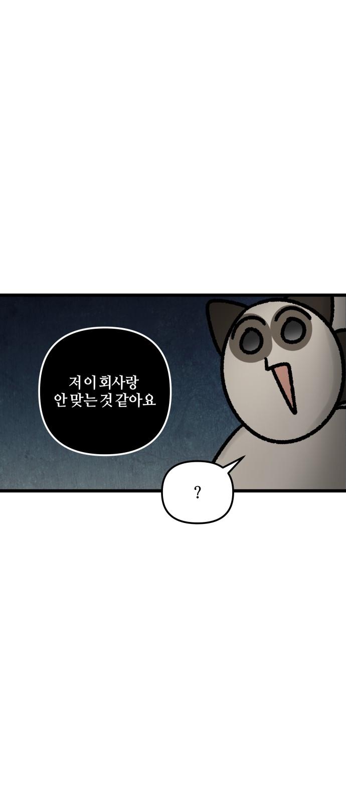 17437188244784zou96mwbnq.jpg