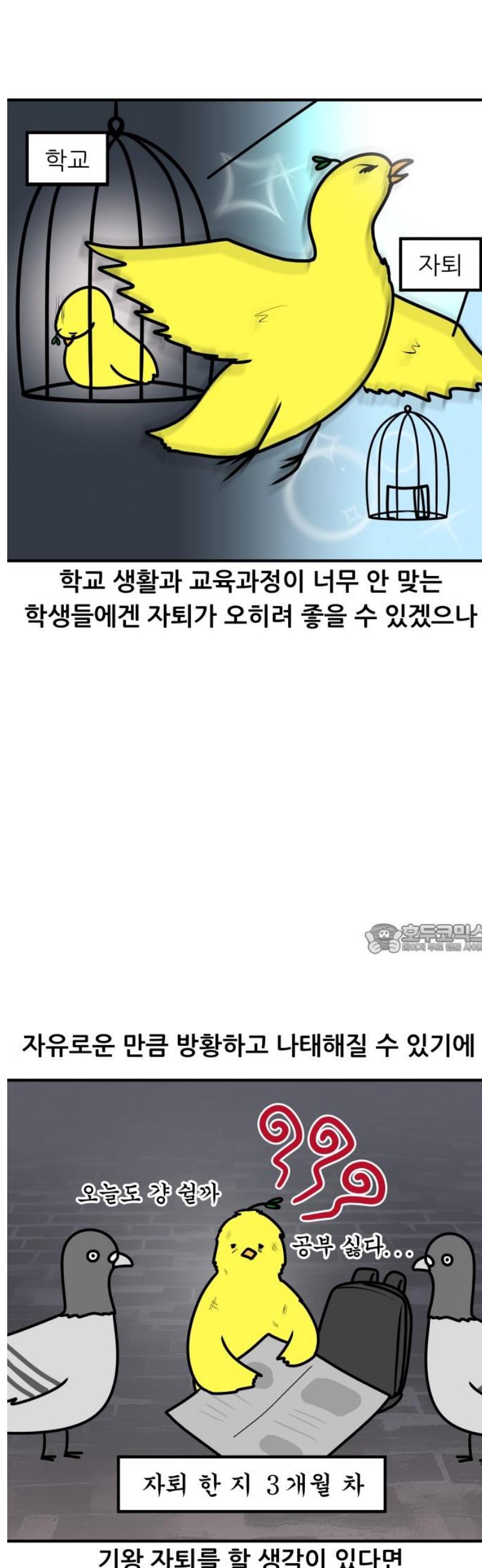 174699857291005dcaa728qg.jpg