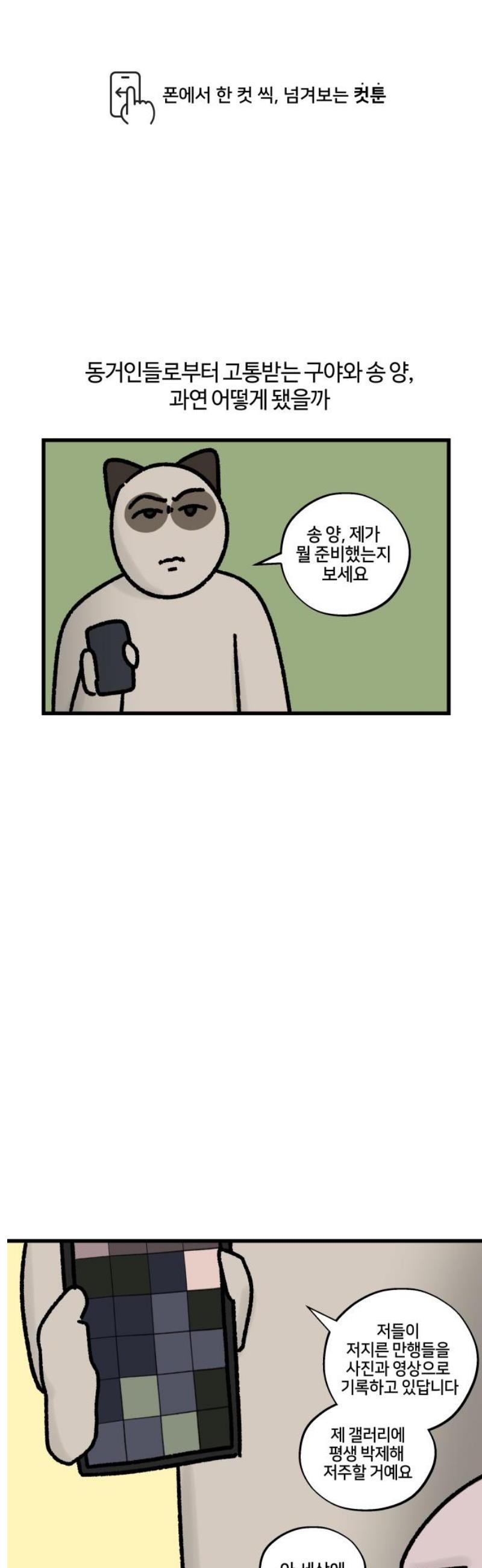 1747345378375p4fxklnpbrl.jpg