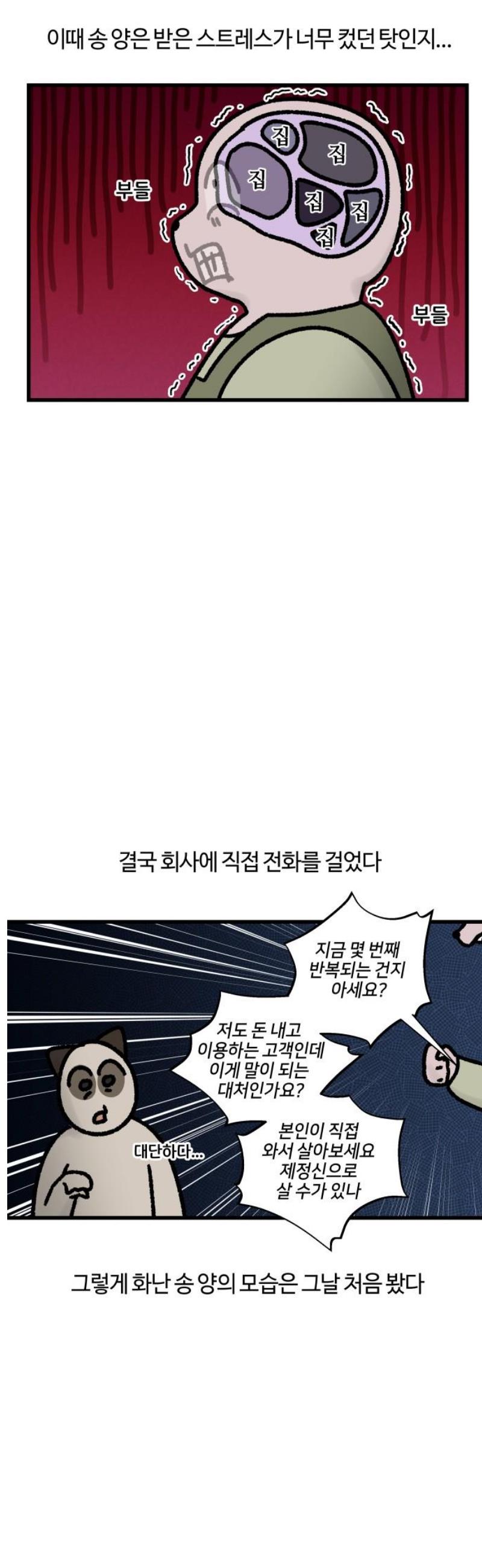17473453857173dihtn7g7yc.jpg