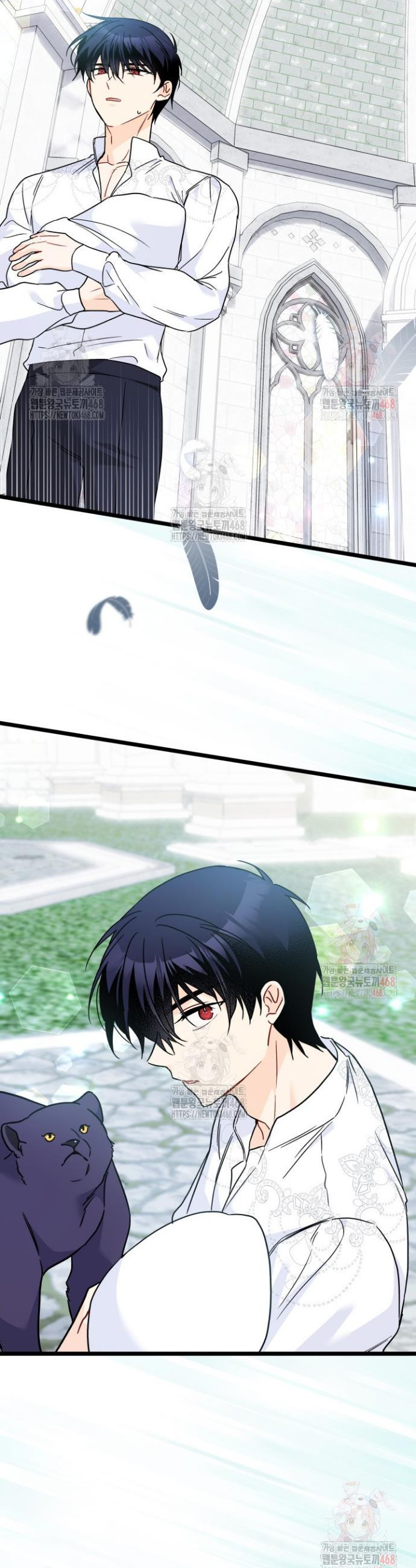 1747468165811xawtn03jjt.jpeg