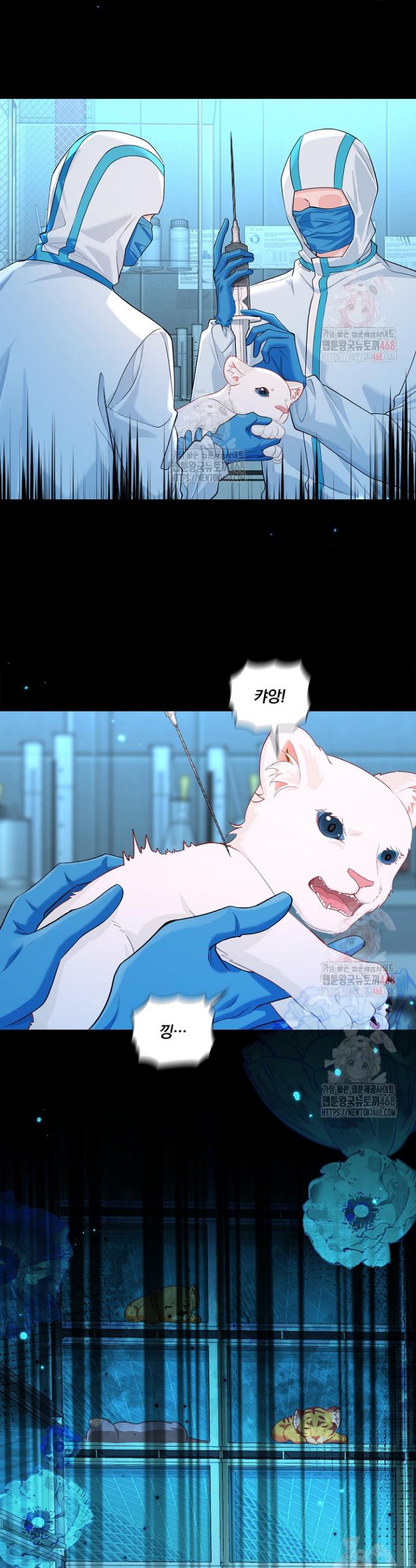 004.jpg