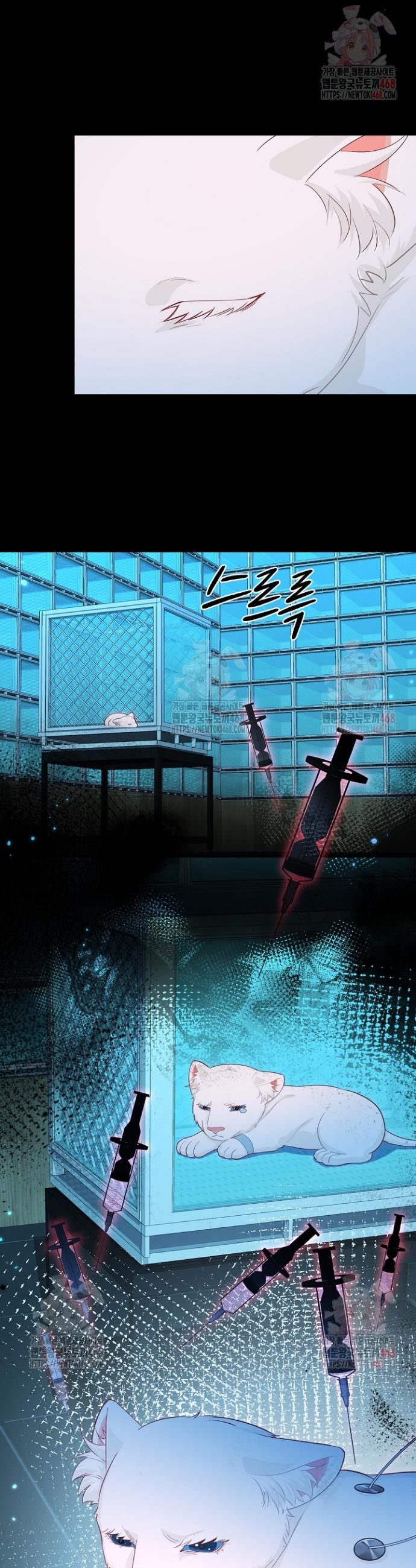 007.jpg