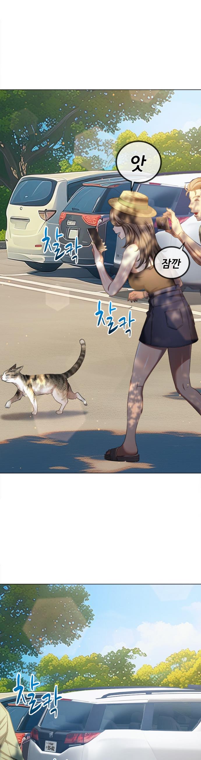 003.jpg