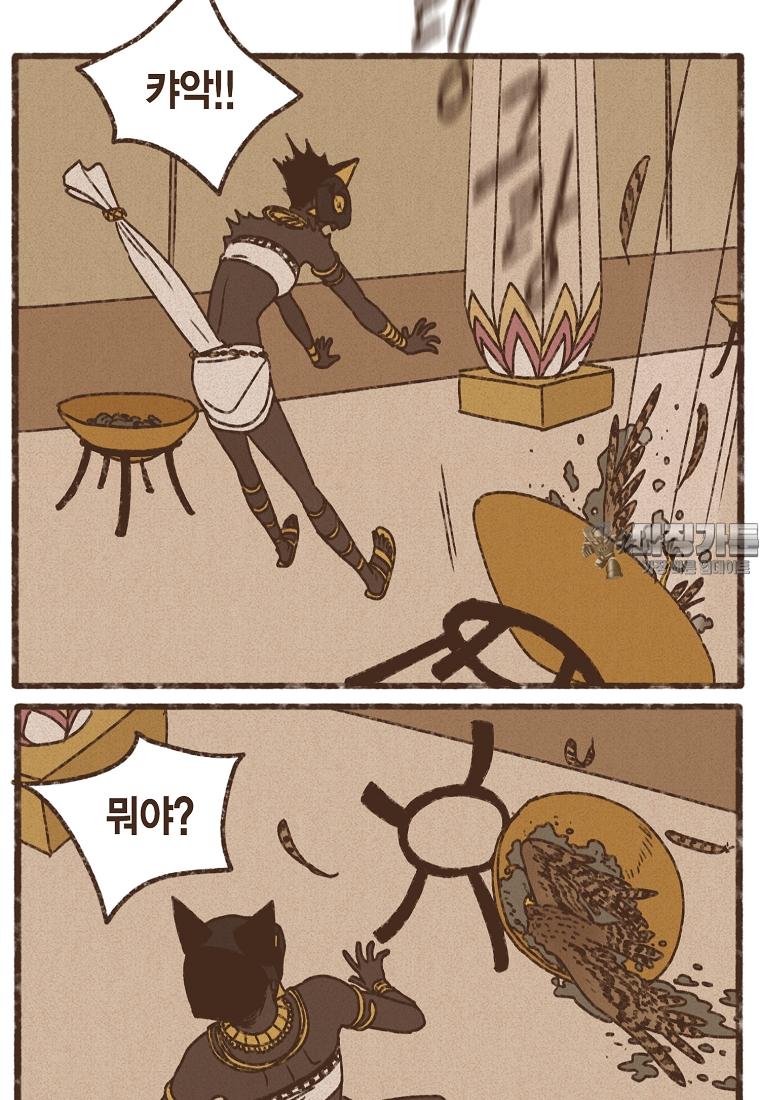 003.jpg