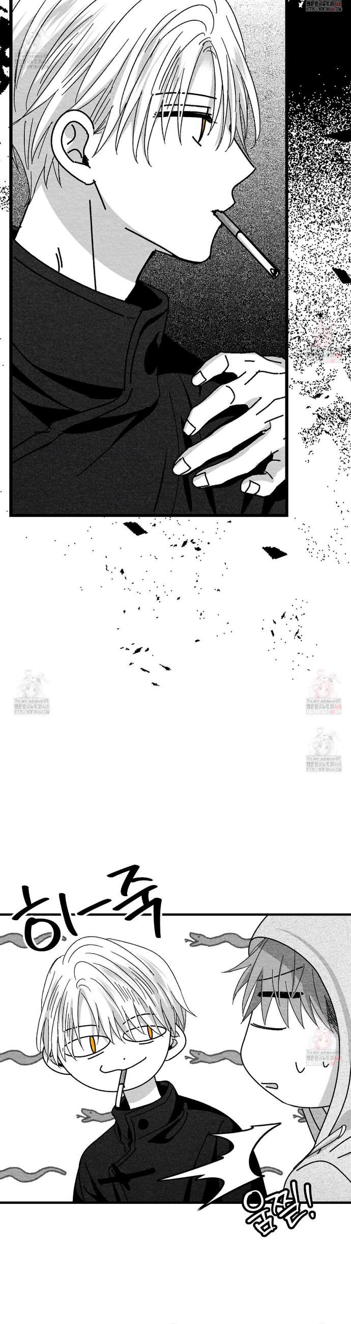 1746740895318zs353i3xt0s.jpg