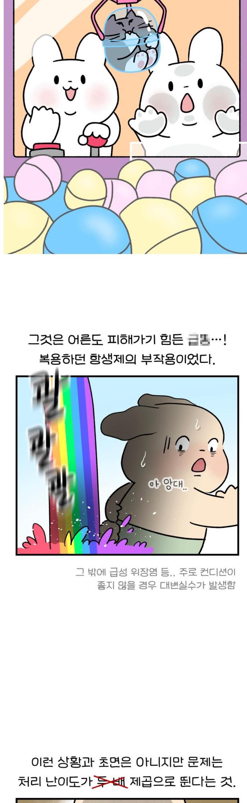 005.jpg