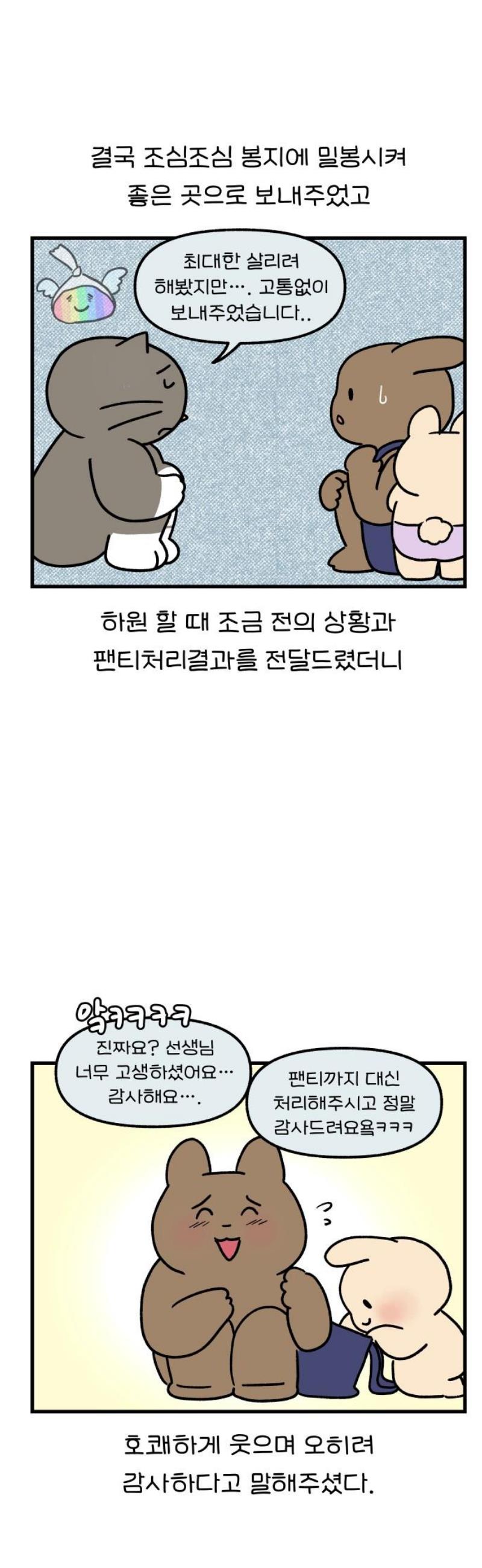 009.jpg