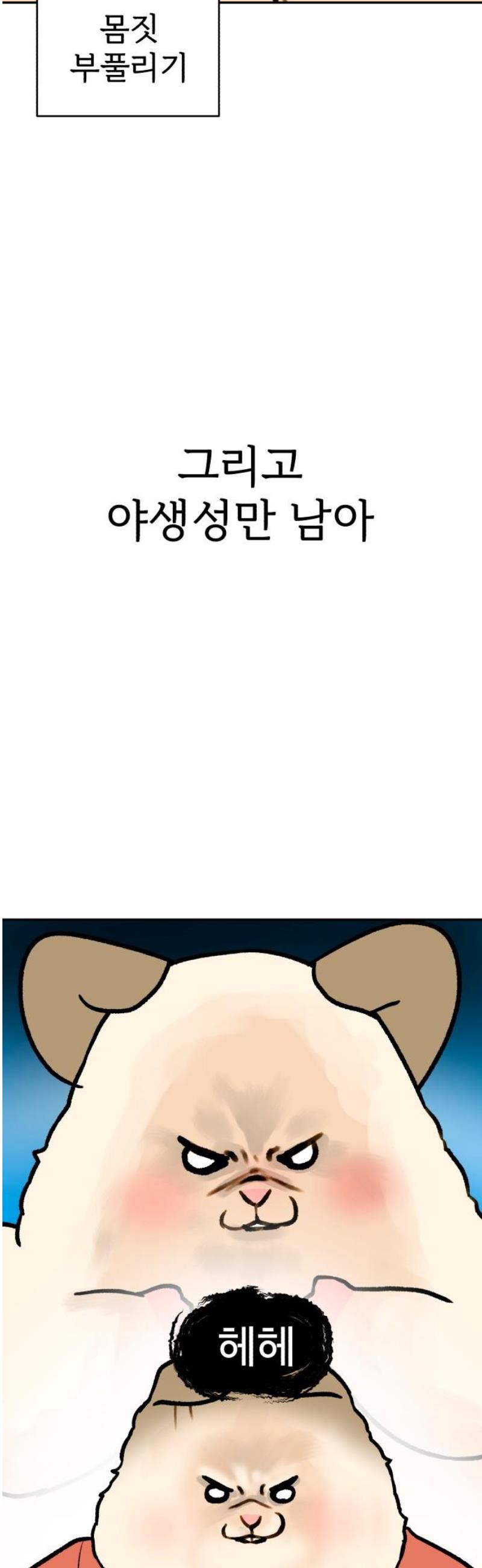 003.jpg