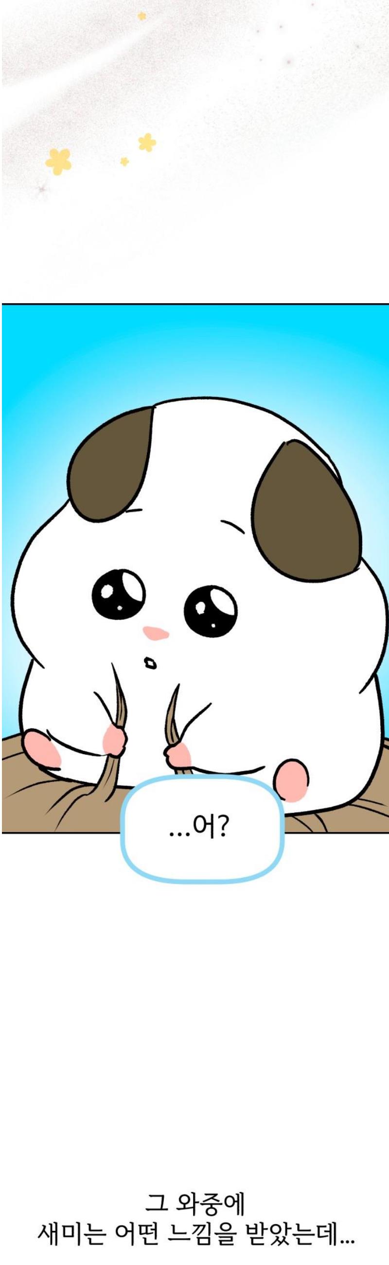 006.jpg